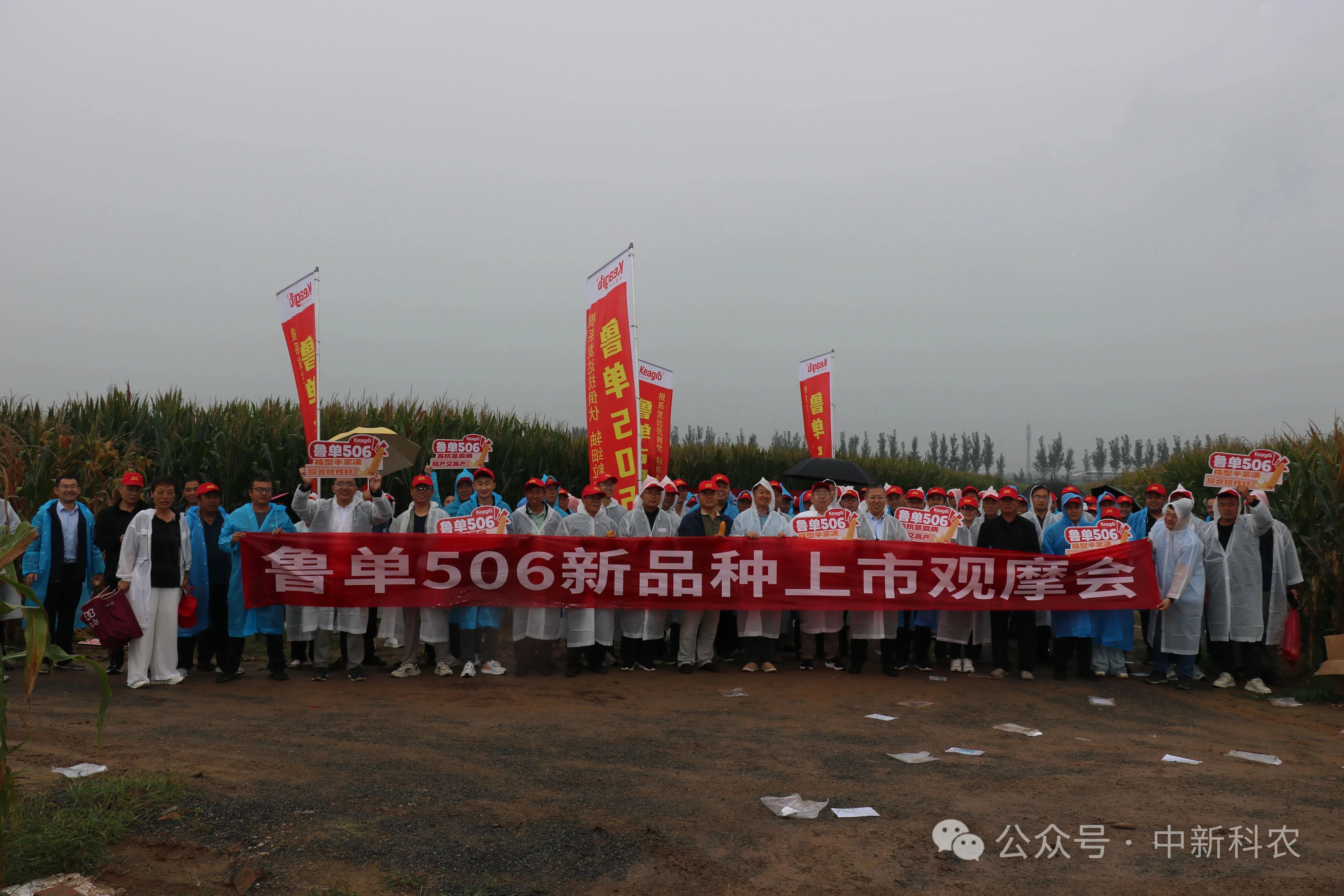 ccb362d74aa37fecb380dc8a3e02876a.jpg