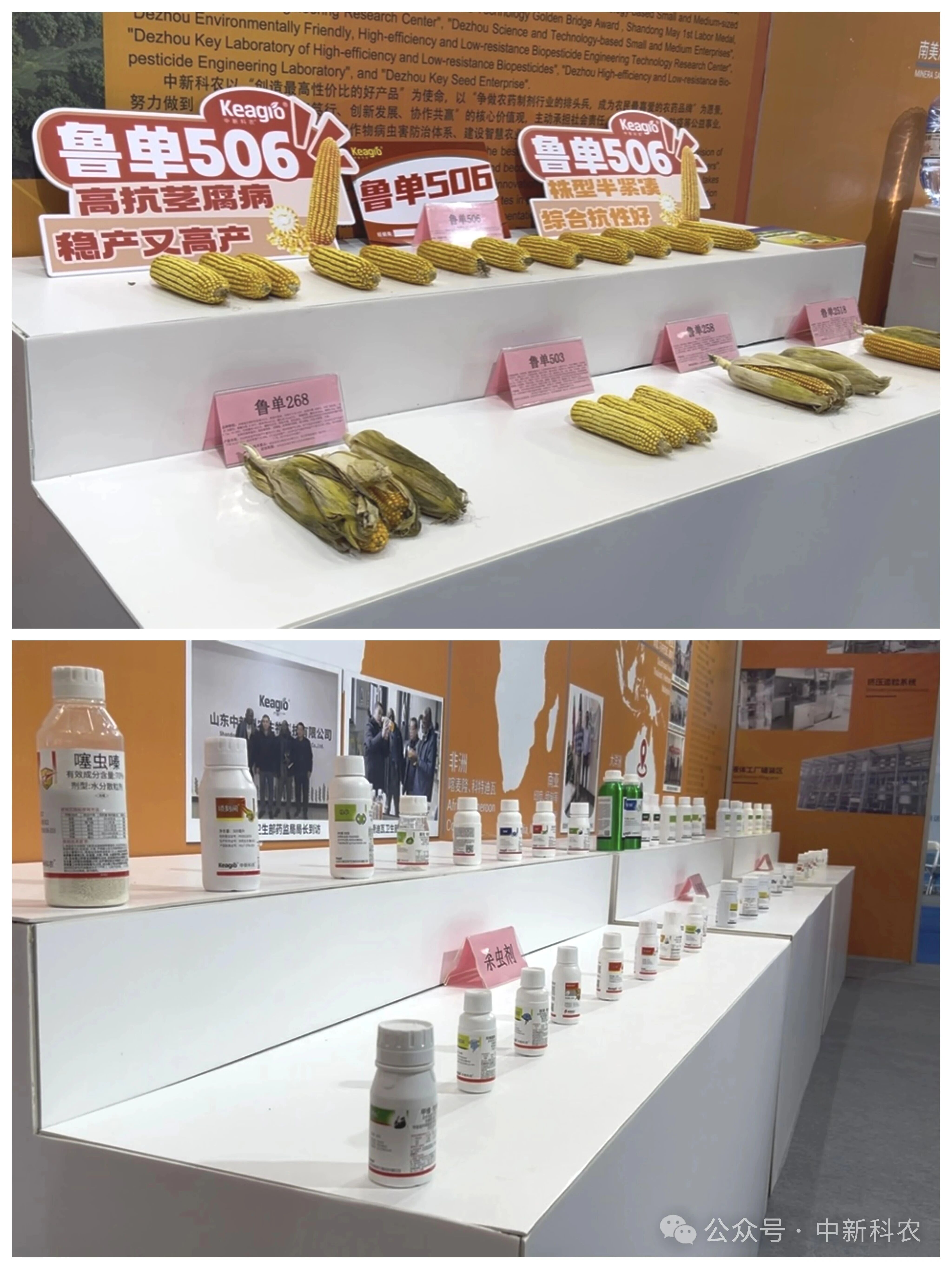 c04baead851fb1d6986a783f149be20b.jpg